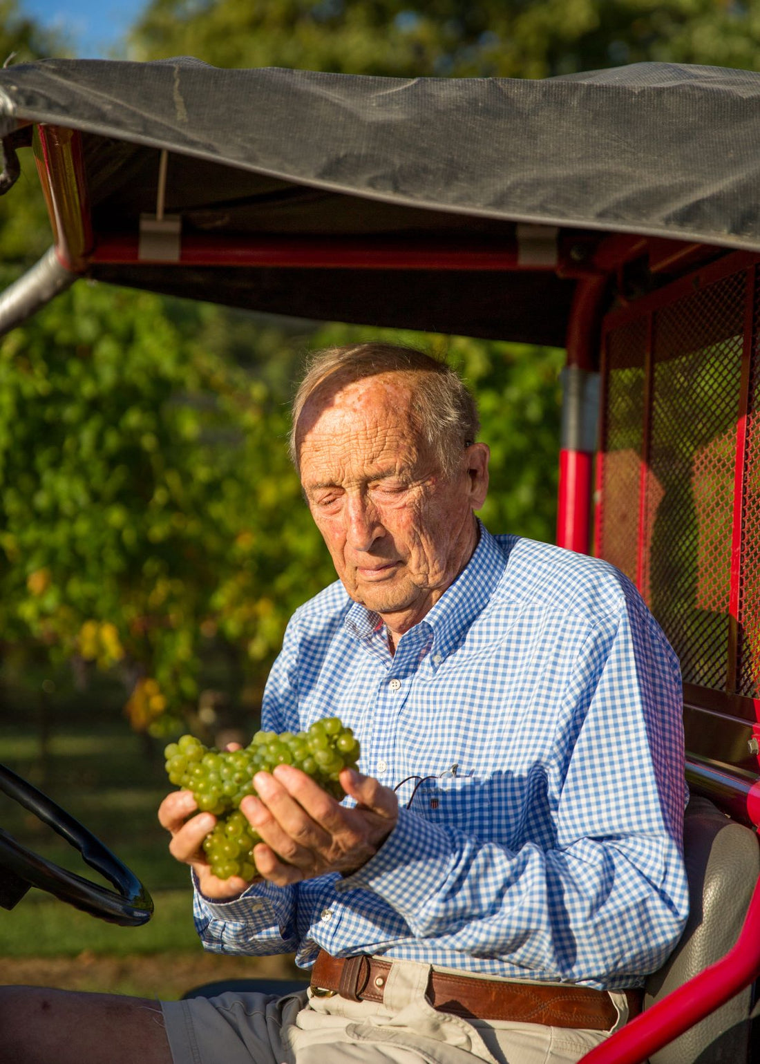 Lunch with Laurence Tedesco, Baillieu & Elgee Park