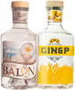 Artisan Gin Twin Pack